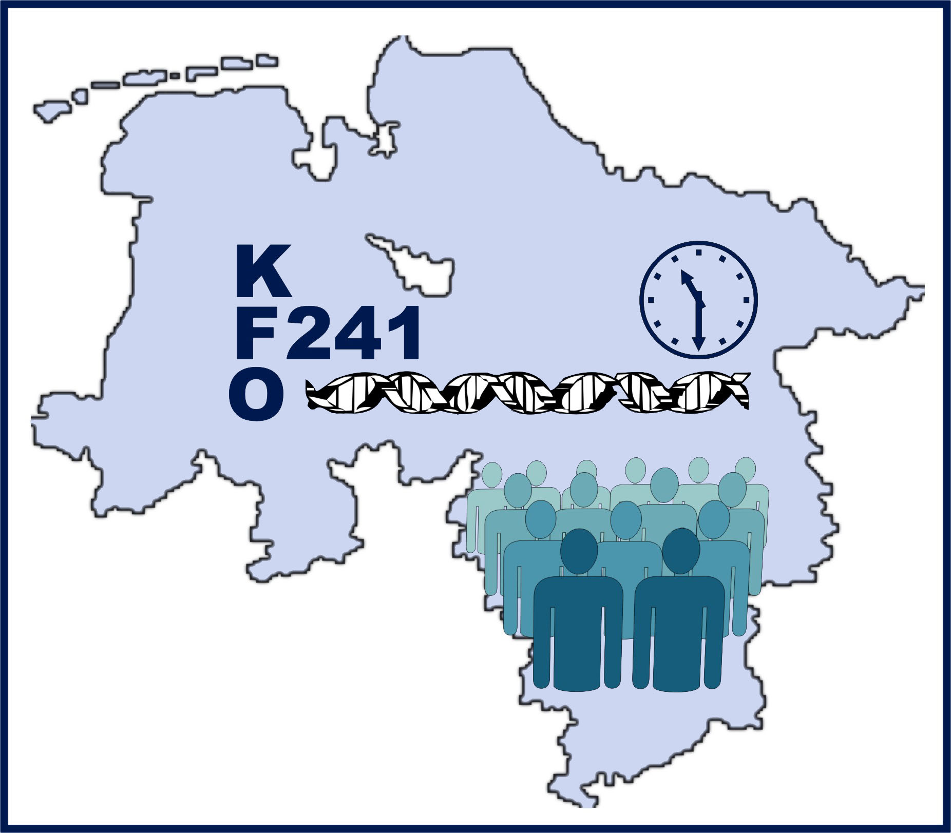 Logo Klinische Forschergruppe 241